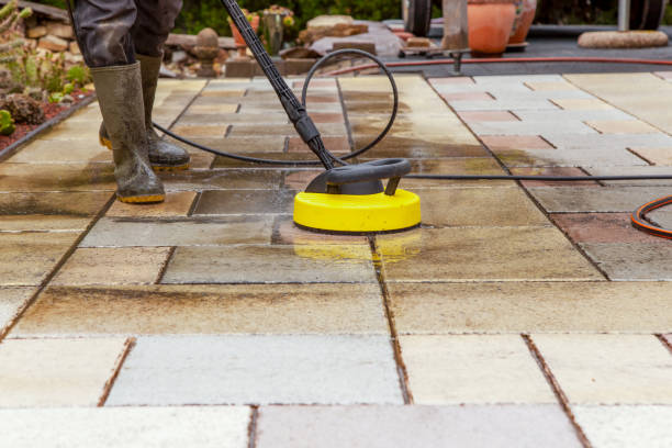 Best Spring Cleaning  in Ronceverte, WV