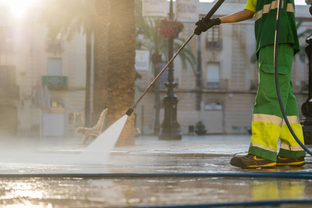 Best Roof Washing  in Ronceverte, WV